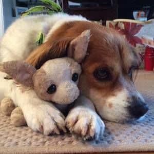 Meet your Posher, Kerry